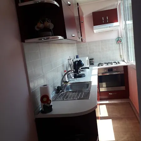 Orhideea Apartament Appartement *