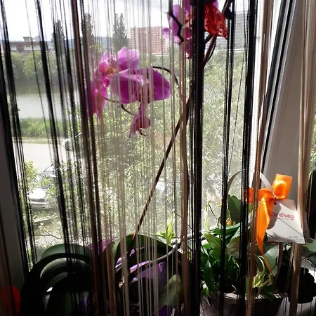 Appartement Orhideea Apartament